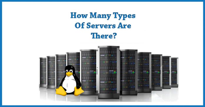 How Many Types Of Servers Are There?