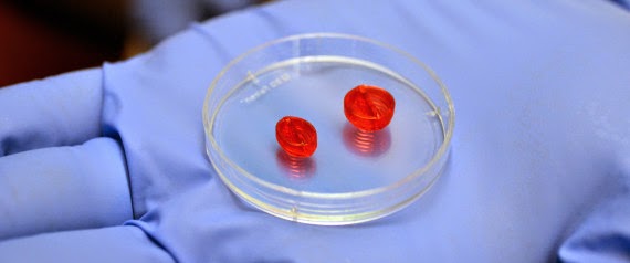 Scientists Trying 3D Printer To Build Human Heart - 80