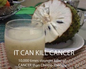 Graviola  A Legendry fruit plant to cure CANCER - 86