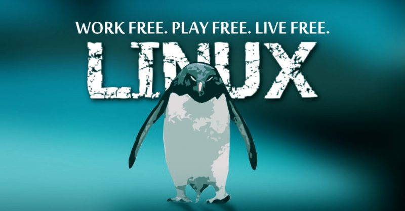 why-linux-is-important-to-learn-for-it-professionals