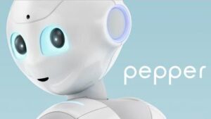 Pepper