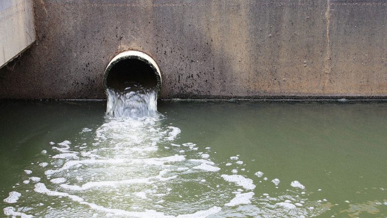 poster p these genetically engineered bacteria send out a signal when the water is polluted