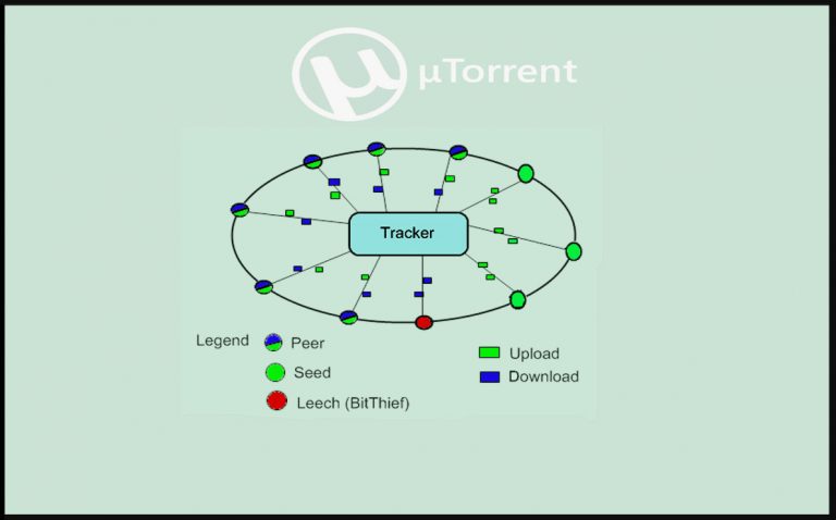 Seeders,leecher,trackers