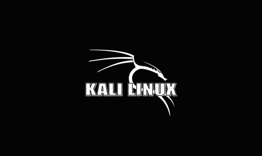 Kali linux live что это