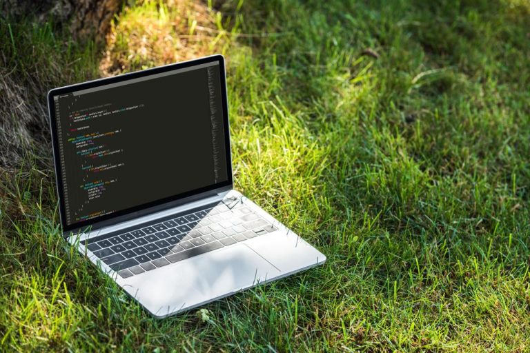 The Most Popular Programming Languages of 2021