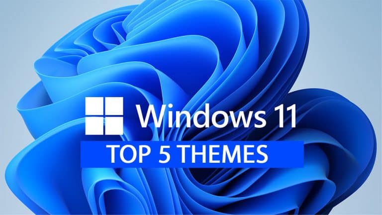 5 Best Windows 11 Themes And Skins In 2024 Updated   Windows 11 Themes 768x432 