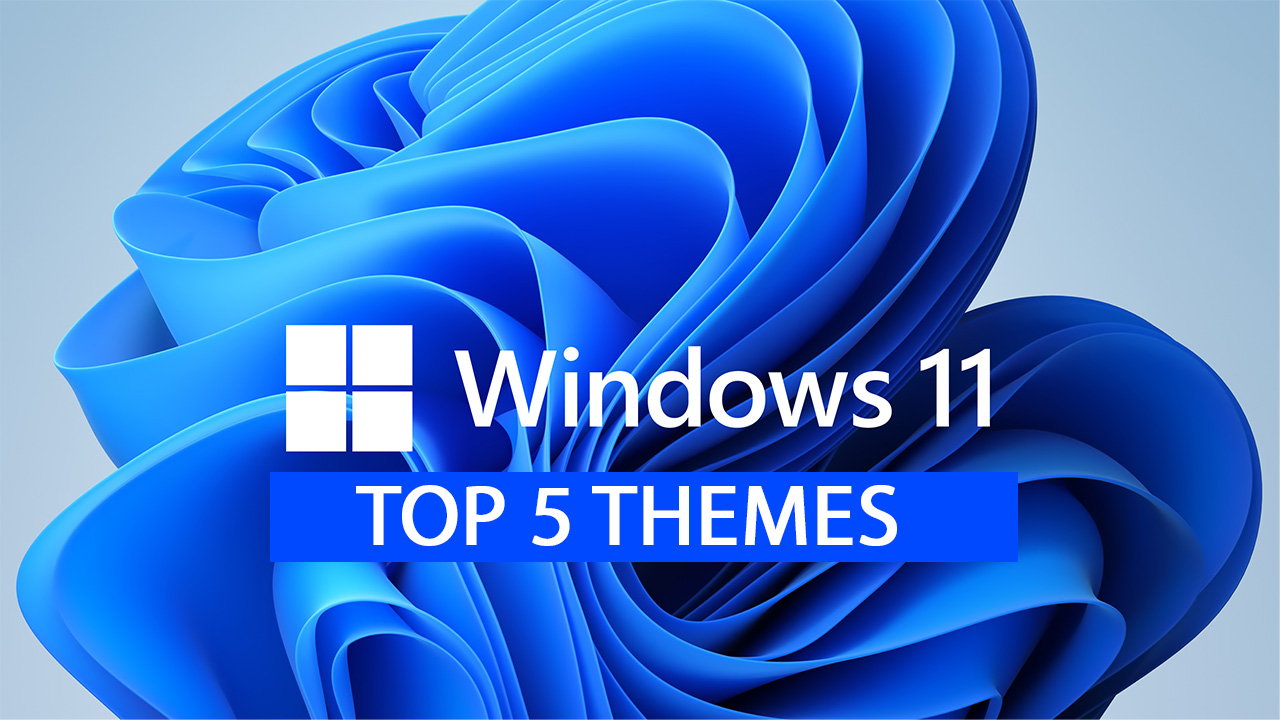 5 Best Windows 11 Themes and Skins in 2024 [Updated]